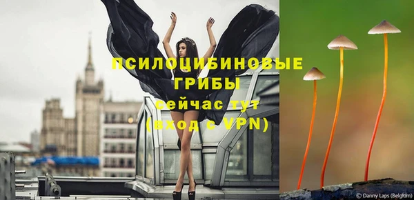 твердый Арсеньев