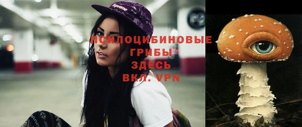 твердый Арсеньев