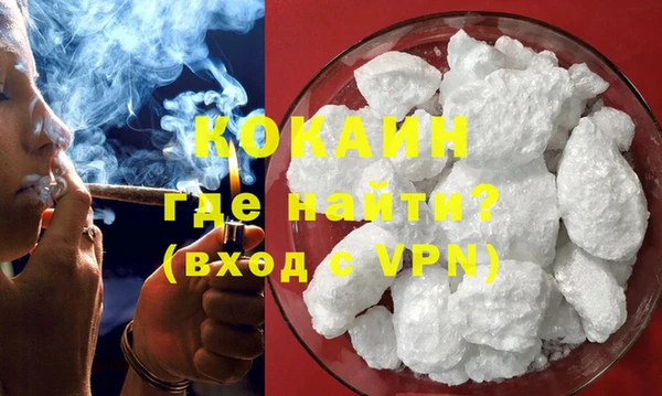твердый Арсеньев
