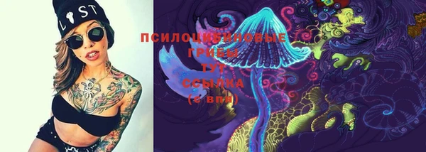 твердый Арсеньев