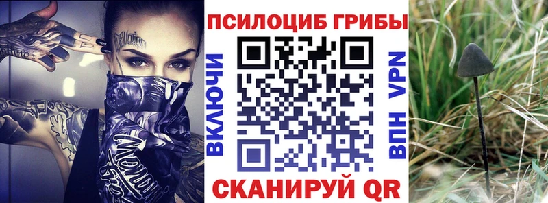 ссылка на мегу зеркало  даркнет сайт  Балашиха  Псилоцибиновые грибы Psilocybine cubensis 