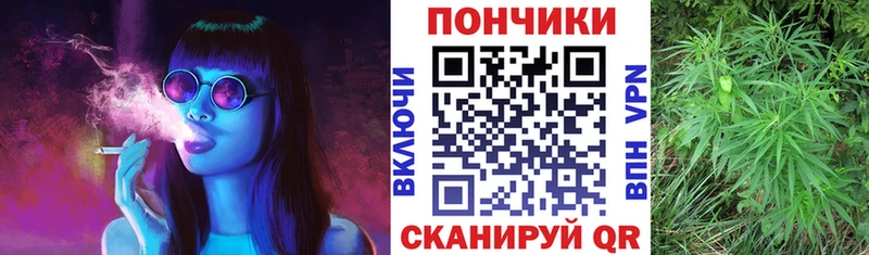 Марихуана SATIVA & INDICA  купить закладку  Балашиха 